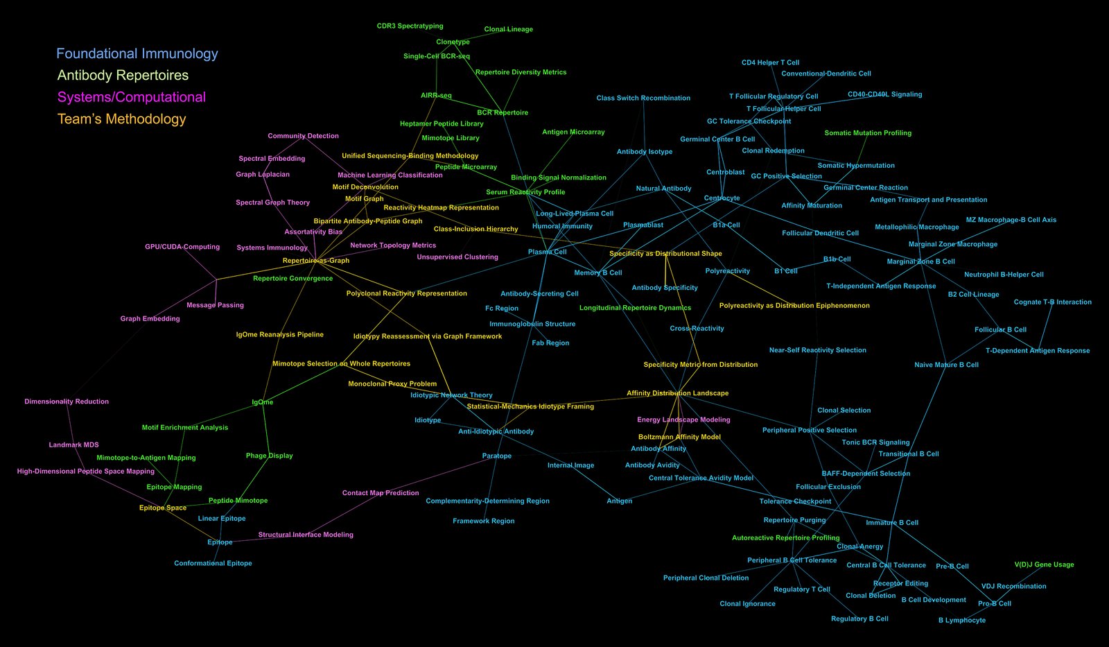 A conceptual map based on a fragment of an immunology knowledge graph.